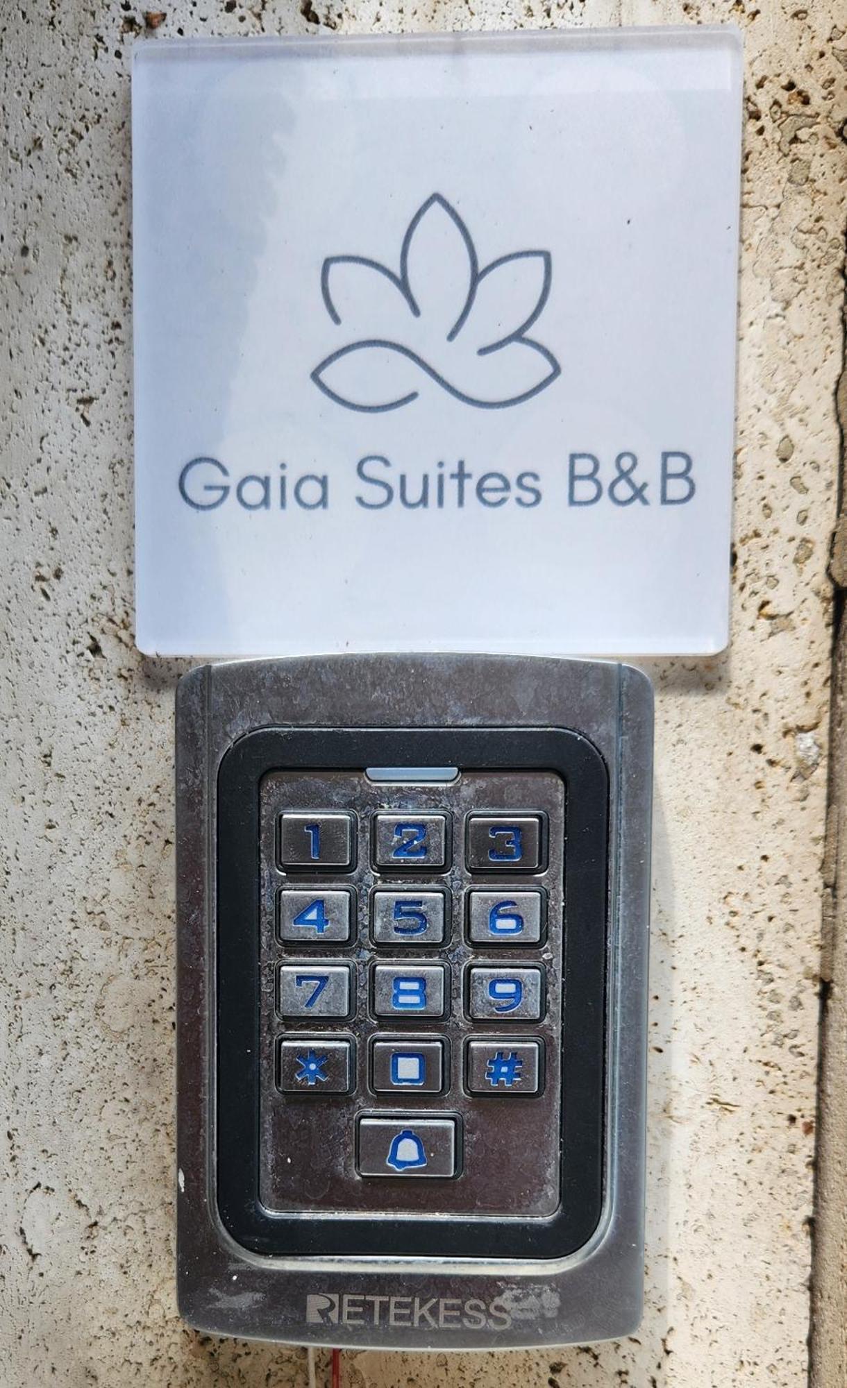 Gaia Suites - A Due Passi Dal Centro - Parcheggio Privato Torino Eksteriør bilde